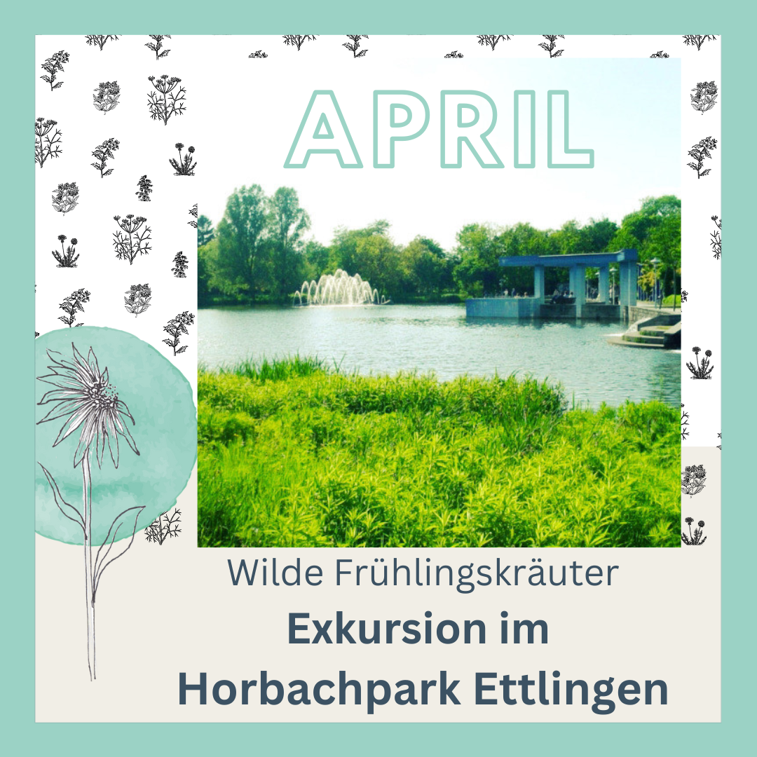 Exkursion im Horbachpark Ettlingen