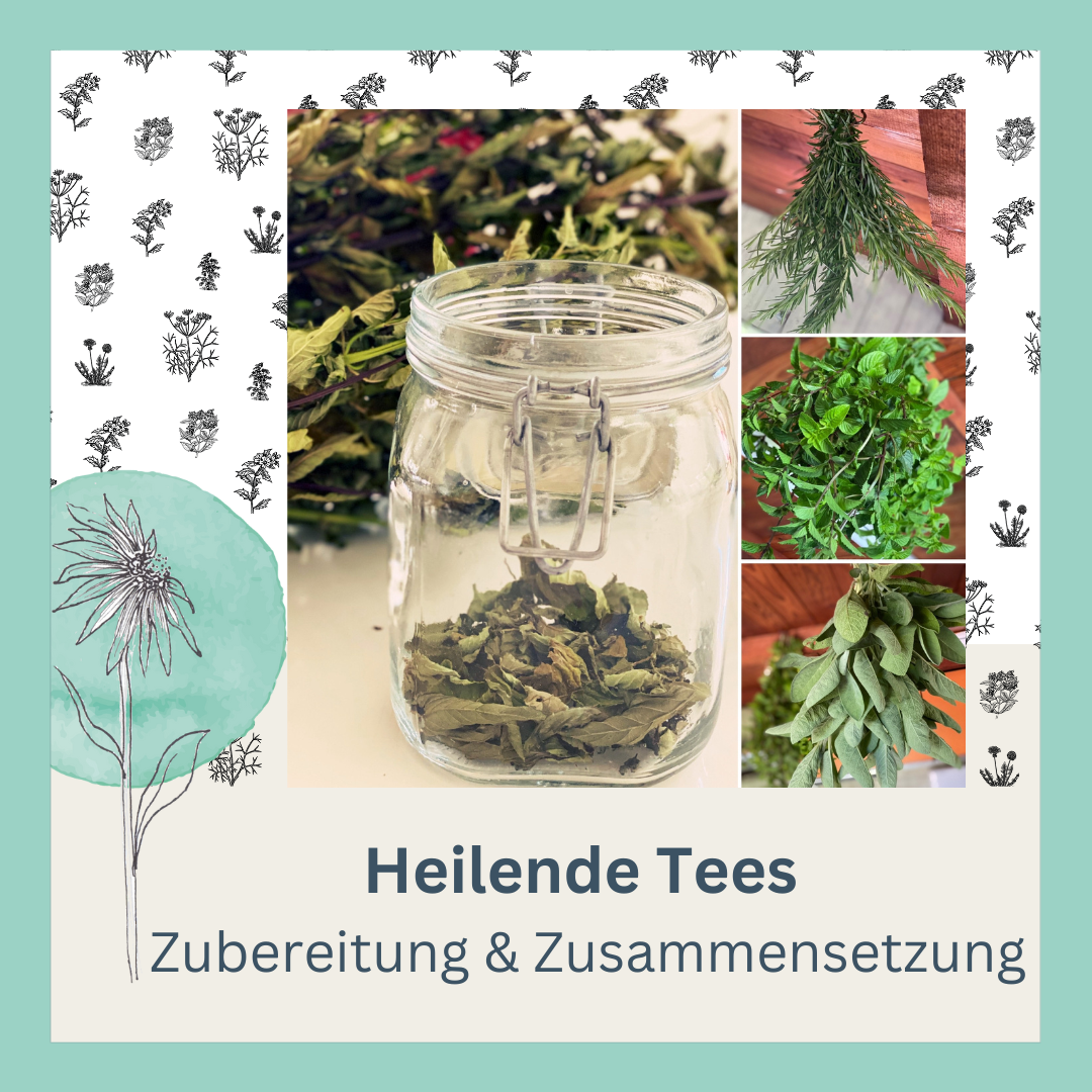 Heilender Tee - Kurs