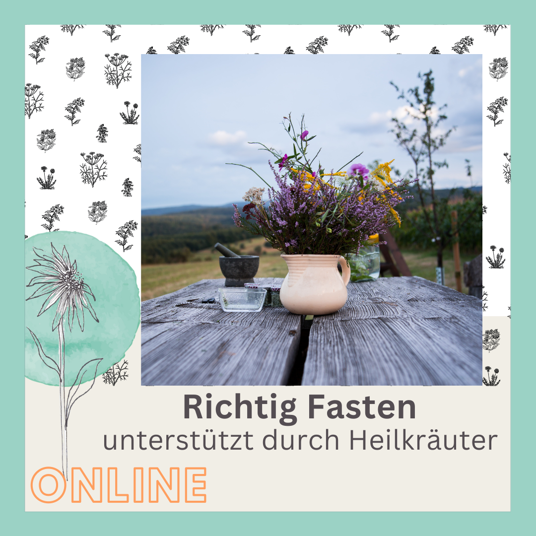 Onlinekurs Richtig Fasten