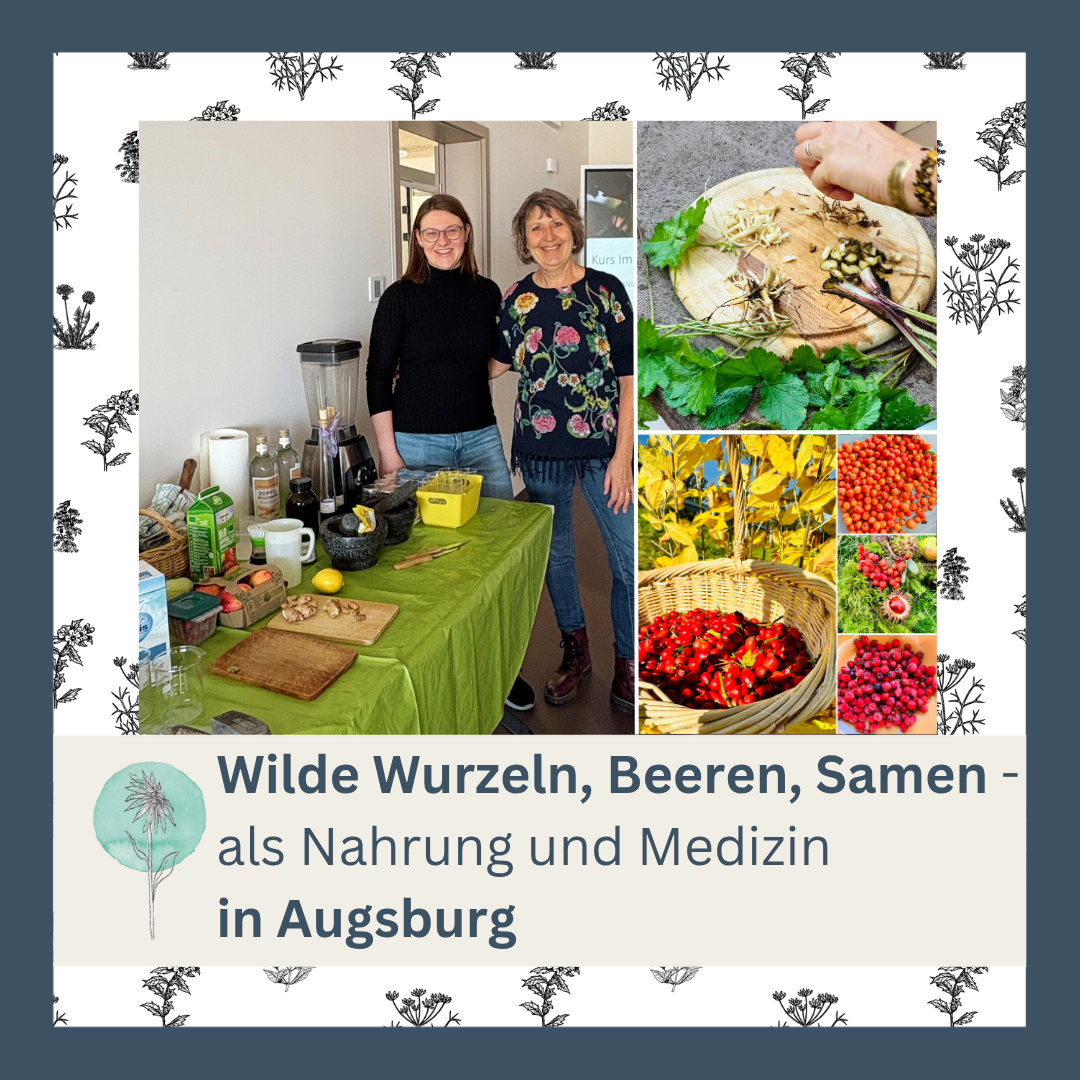 Wilde Wurzeln, Beeren, Samen als Nahrung und Medizin - in Augsburg