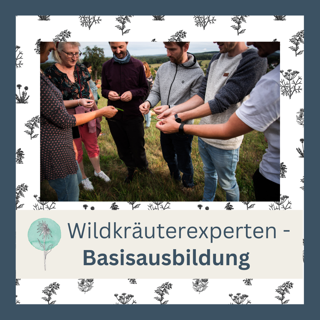 Wildkräuterexperten - Basisausbildung