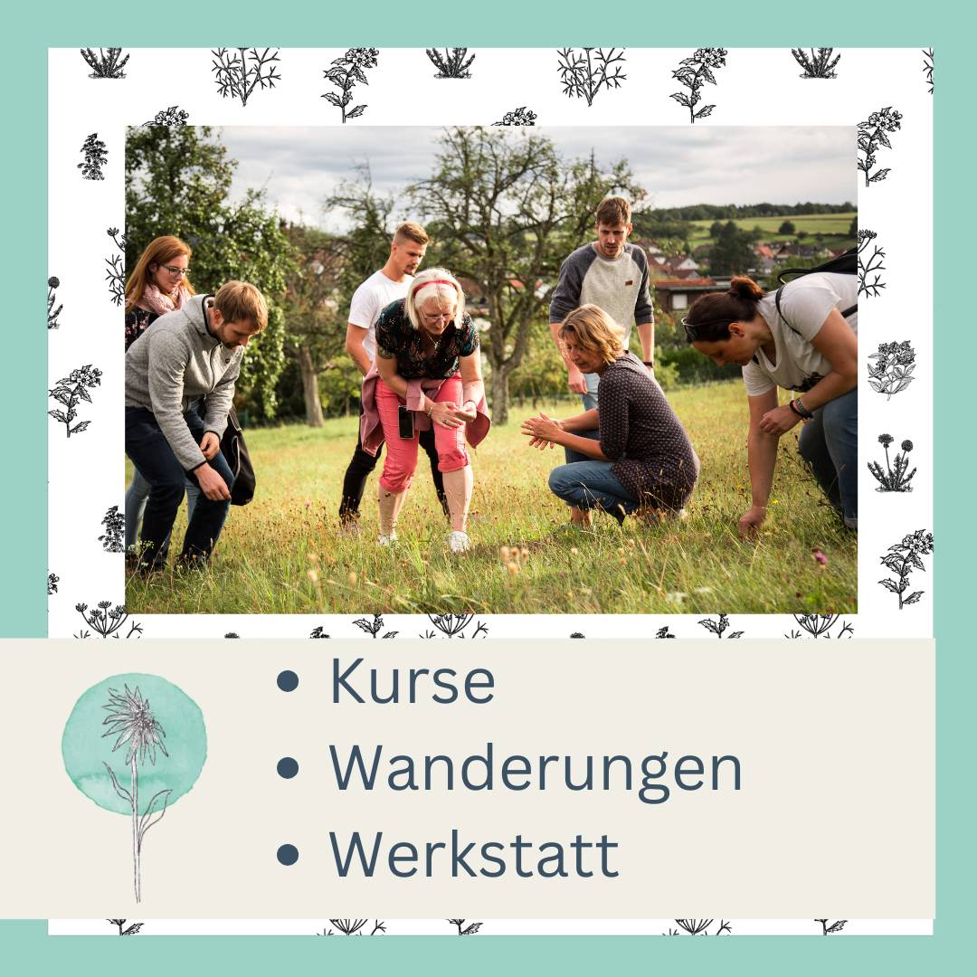 Kurse - Wanderungen- Werkstatt