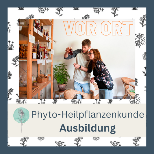 Experte/in für Phyto-Heilpflanzenkunde