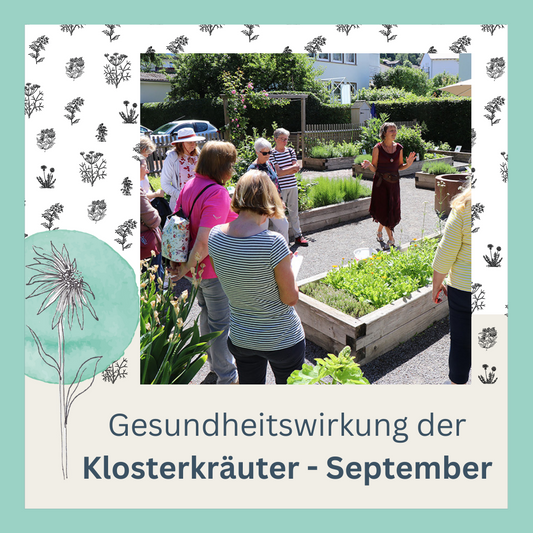 Gesundheitswirkung Klosterkräuter