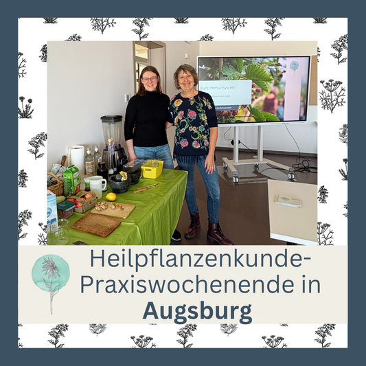 Heilpflanzenkunde_Augsburg