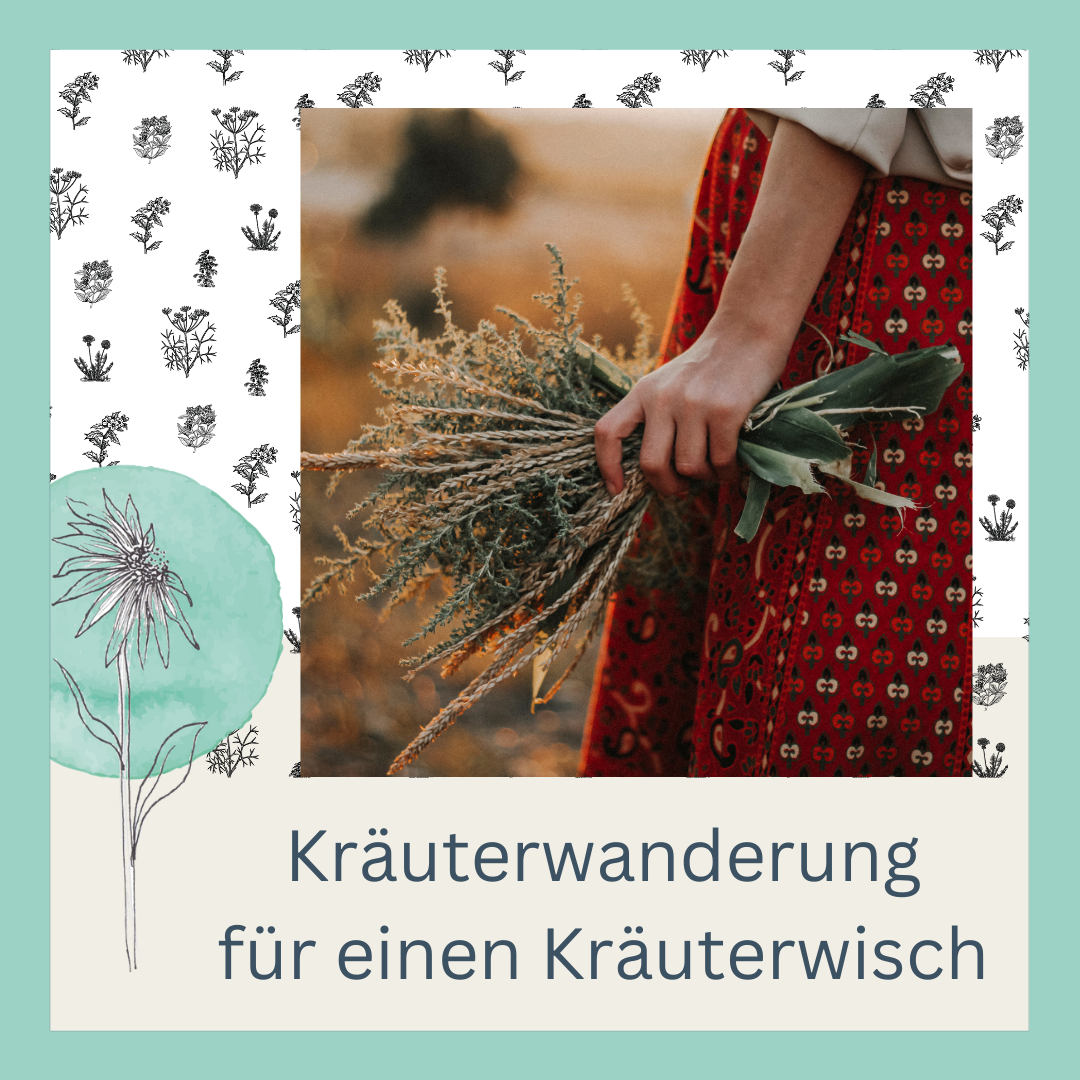 Kräuterwanderung für einen Kräuterwisch