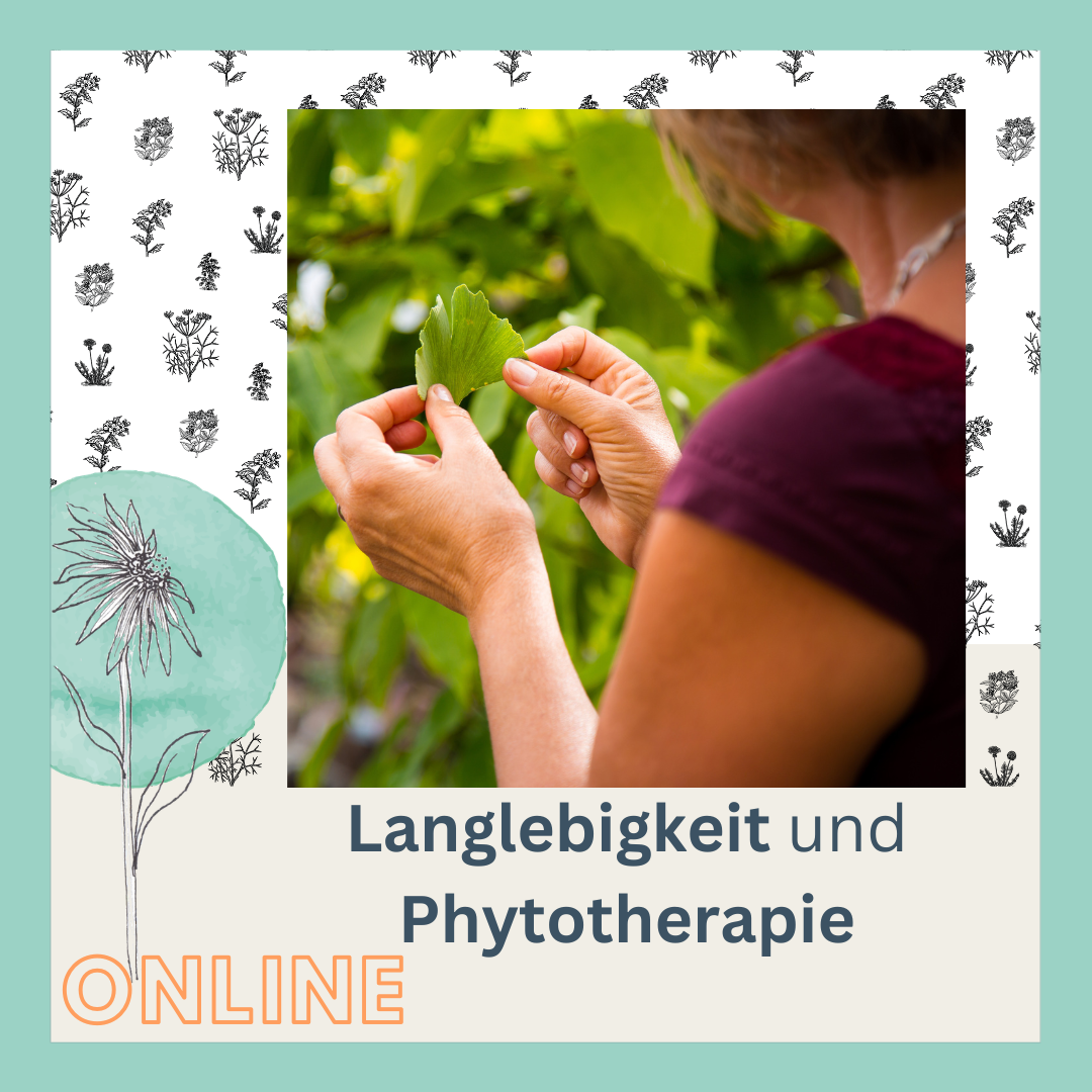 Langes Leben und Phytotherapie