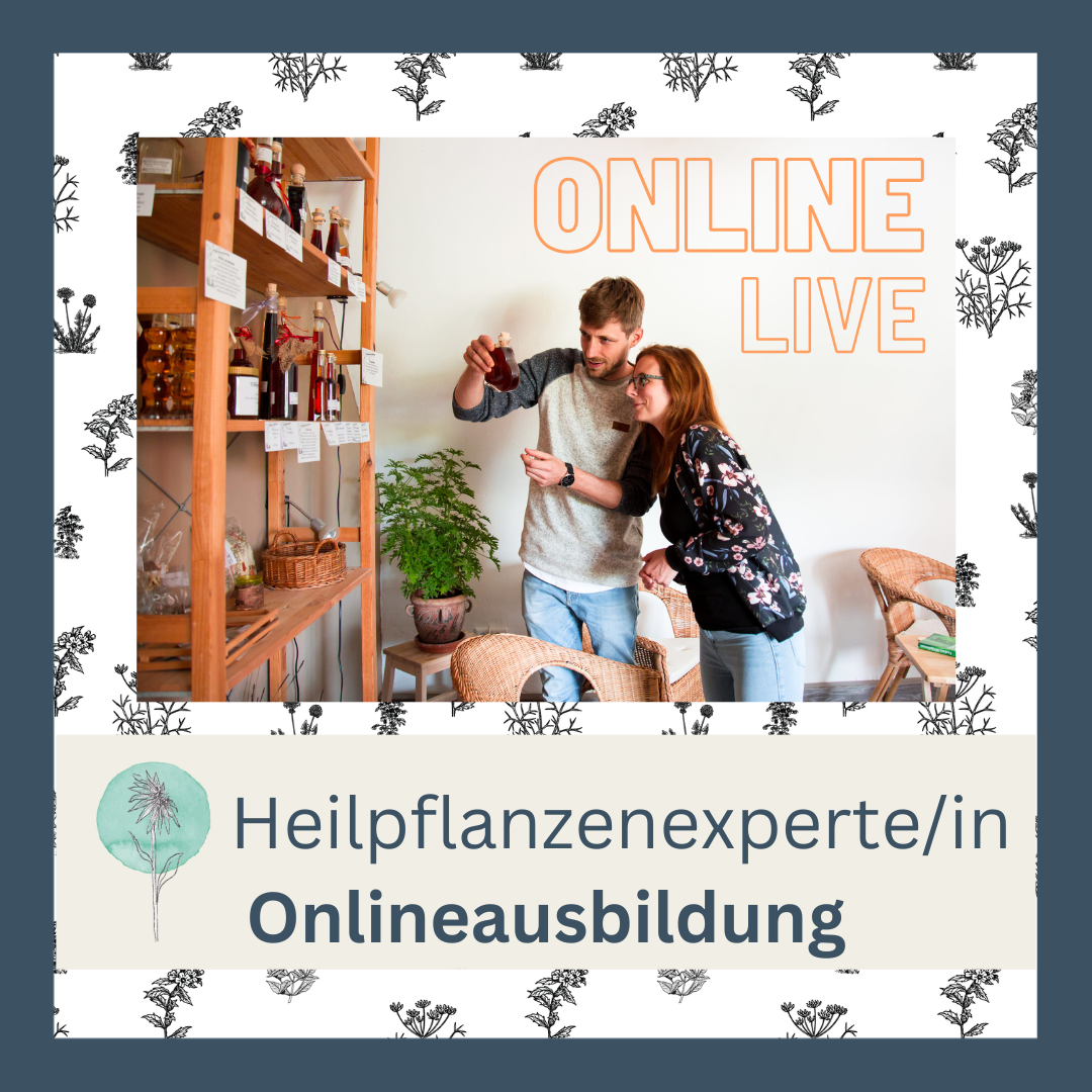 Onlineausbildung Heilpflanzenexperte/in