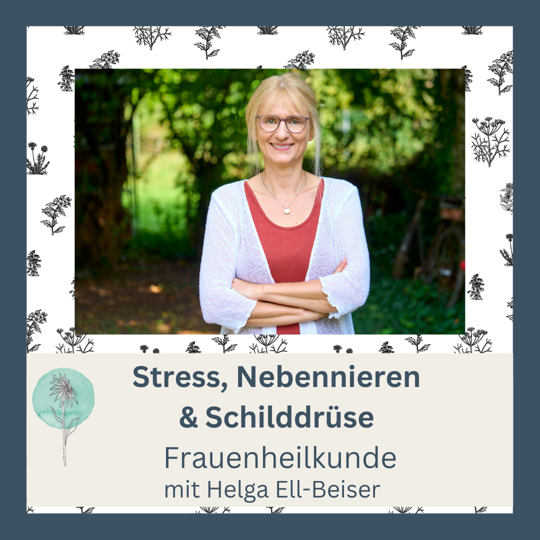 Stress, Nebennieren - Frauenheilkunde