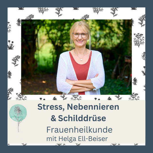 Stress, Nebennieren - Frauenheilkunde