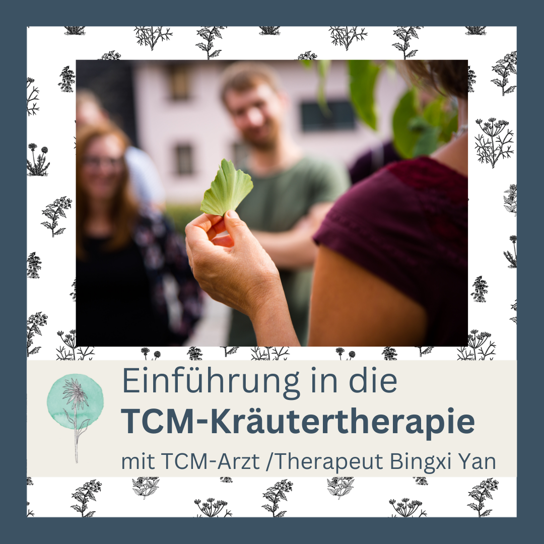 TCM Kräutertherapie