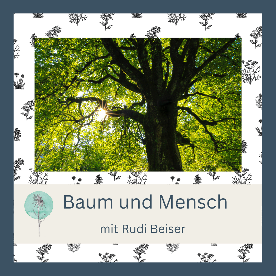 Weiterbildung Wald - Baum und Mensch