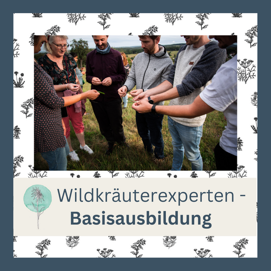 Wildkräuterexperten - Basisausbildung 